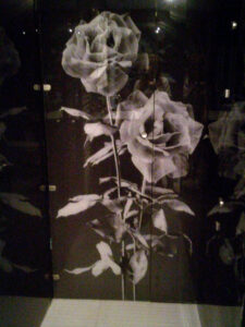 Staklene obloge zida